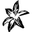 SA Studio logo